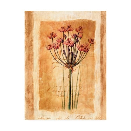 Pablo Esteban 'Pink Flowers Distress 1' Canvas Art,14x19